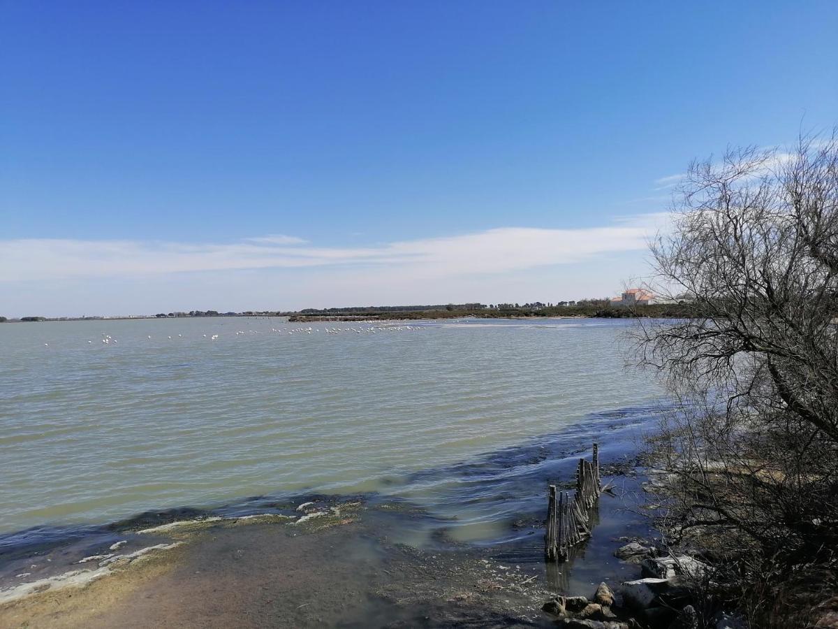 Maison 5 Personnes En Garrigue - Piscine-Spa Prive Langlade Zewnętrze zdjęcie